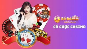 Cá cược casino ăn tiền thả ga cùng nhà cái mỗi ngày