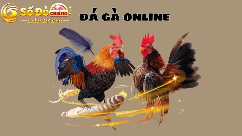 Đá gà online Sodo: Hạng mục cược đỉnh cao với ưu thế ngập tràn