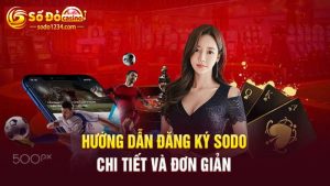 Hướng dẫn đăng ký SODO chi tiết và đơn giản 