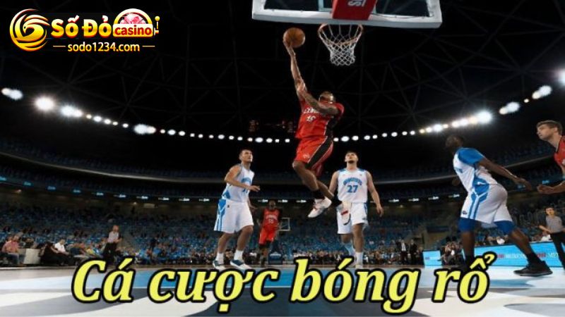 Kèo cá cược bóng rổ dựa trên giải đấu NBA 