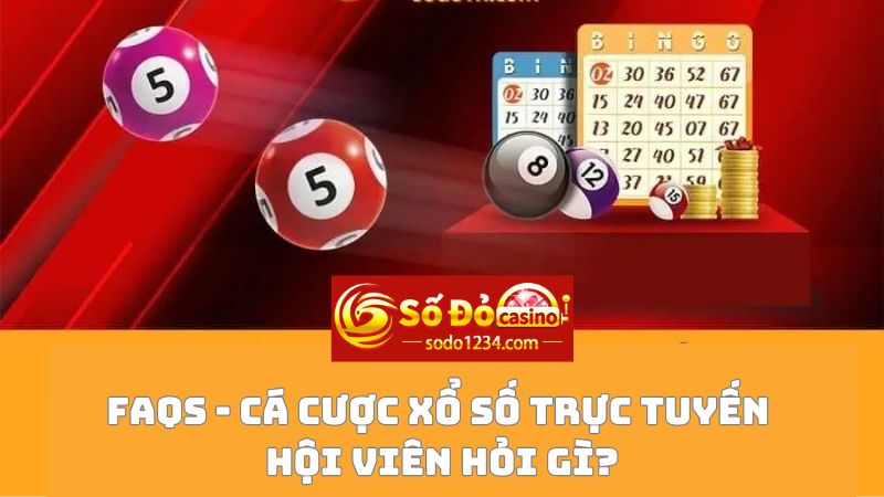 Hội viên thường hỏi gì về cá cược xổ số Sodo? 