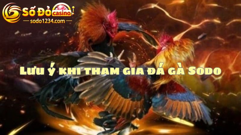 Lưu ý cần thiết cho người chơi khi tham gia đá gà Sodo