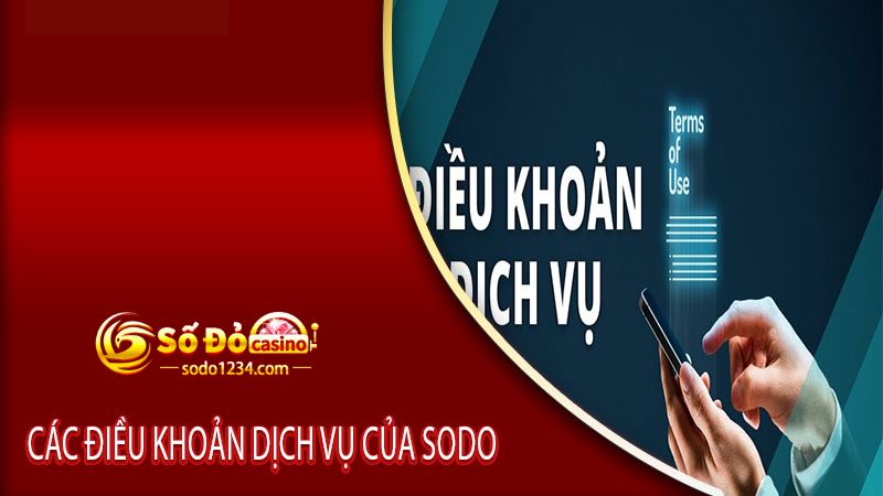 Nội dung chi tiết về điều khoản dịch vụ của Sodo