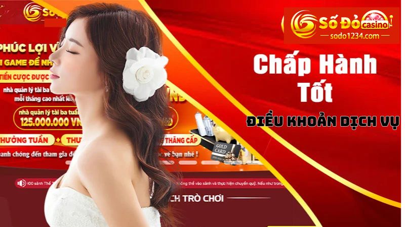 Nắm rõ điều khoản dịch vụ và thực hiện đúng trách nhiệm