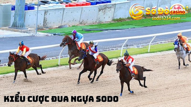 Sodo chia sẻ 4 kiểu cược đua ngựa phổ biến nhất 