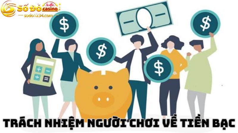 Trách nhiệm người chơi về các vấn đề tài chính 